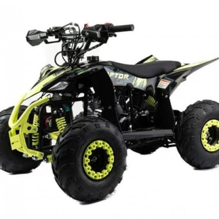 Квадроцикл MOTOLAND Raptor 110
