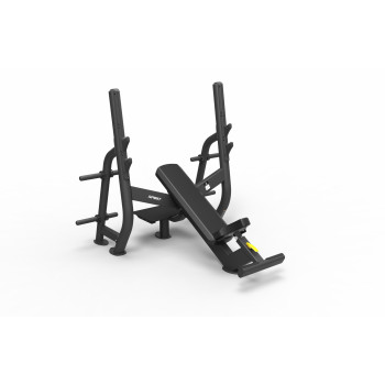 Скамья со стойкой Spirit SP-4210 с отрицательным наклоном