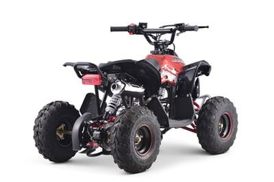 Квадроцикл YACOTA RENEGADE MINI