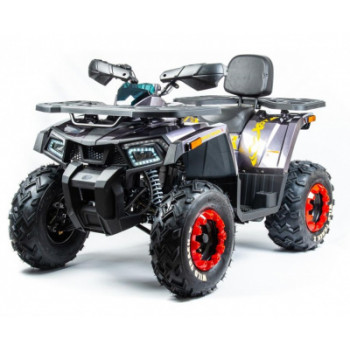Квадроцикл MOTOLAND 200 WILD TRACK X PRO (2022)