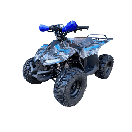 Квадроцикл RAPTOR New 125