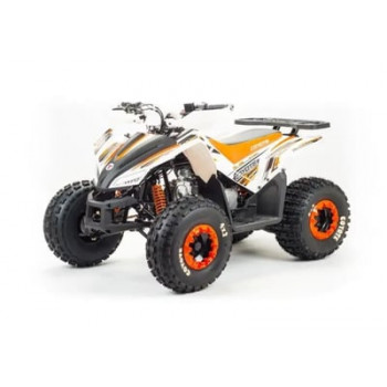 Квадроцикл MOTOLAND 125 COYOTE (2021 Г.)