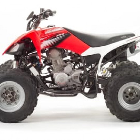 Квадроцикл MOTOLAND 250S