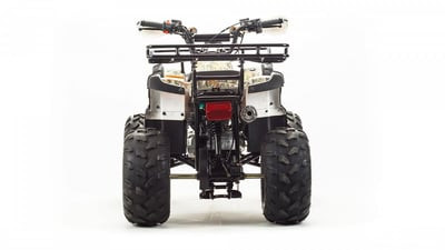 Квадроцикл MOTOLAND 125 FOX