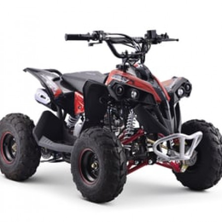 Квадроцикл YACOTA RENEGADE MINI