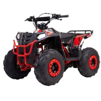 Квадроцикл RAPTOR DUX 8