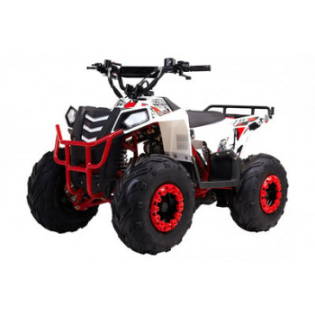 Квадроцикл WELS THUNDER EVO M детский
